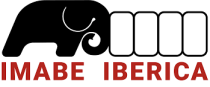 logo-imabe